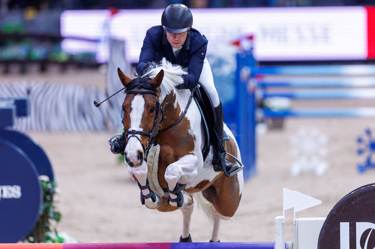 Ping Pong van de Lentamel