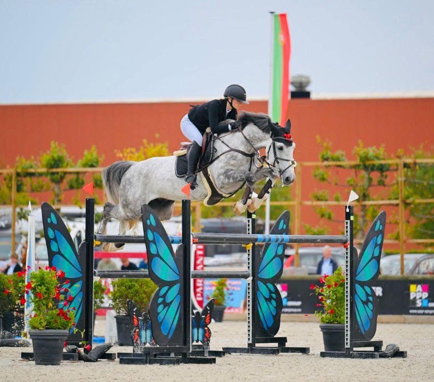 Chicco Van De Doornhaag Z